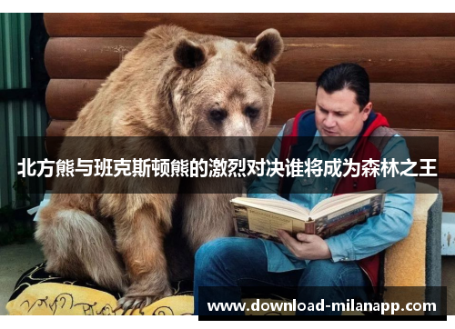 北方熊与班克斯顿熊的激烈对决谁将成为森林之王